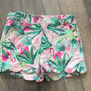 Tropical Flamingo Print Kids  Shorts